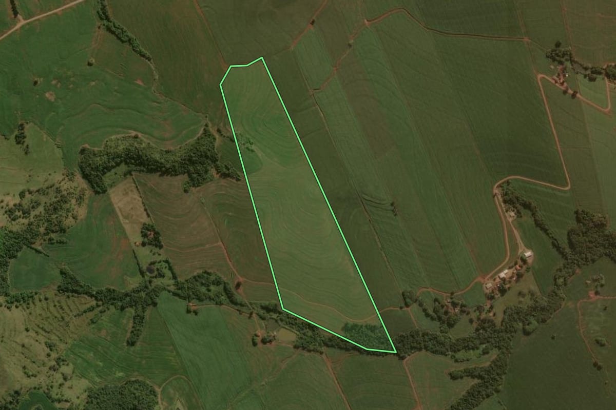 Imagem de satélite do imóvel rural em São João do Ivaí (PR), com o contorno declarado no CAR desenhado por cima.