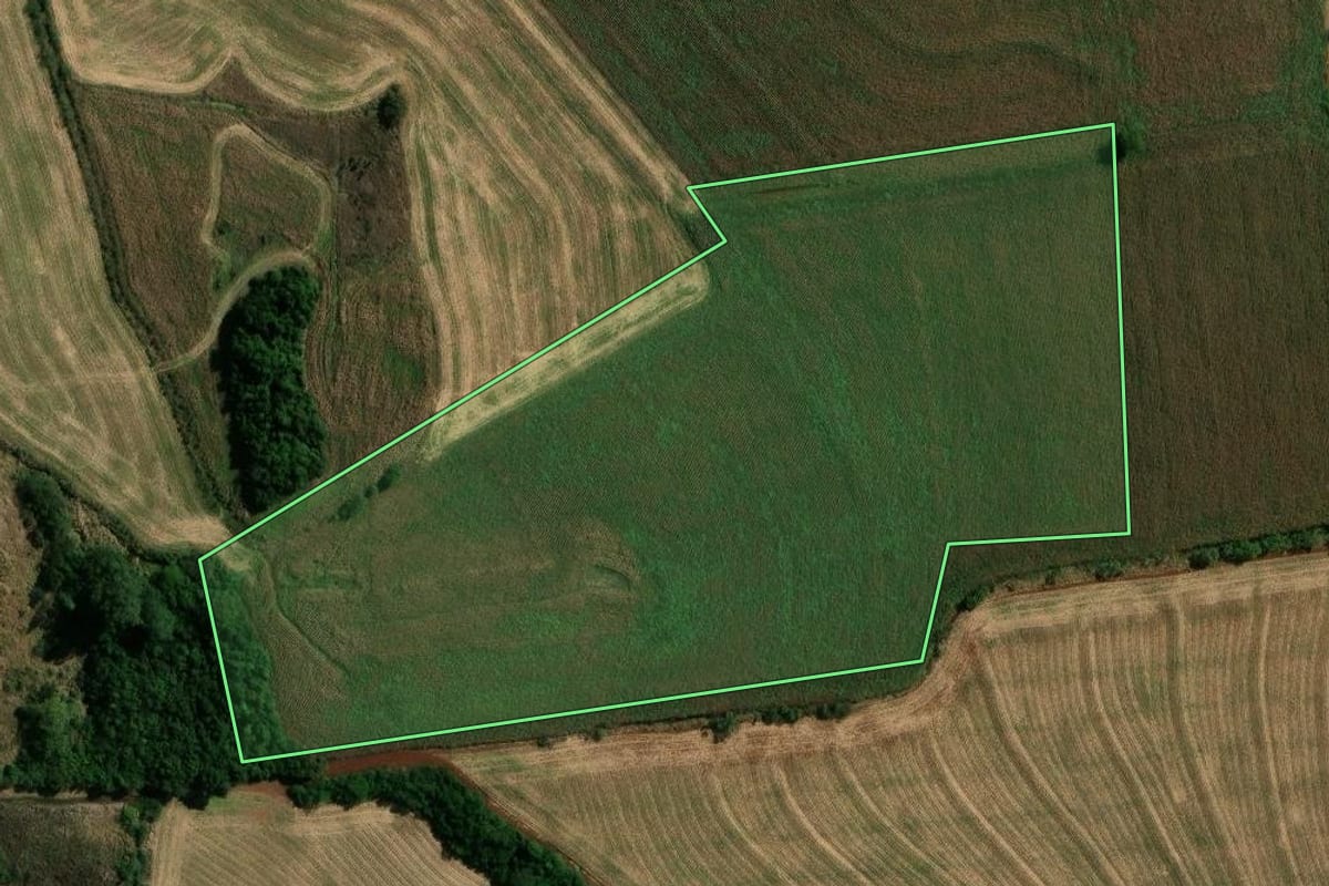 Imagem de satélite do imóvel rural em São João do Ivaí (PR), com o contorno declarado no CAR desenhado por cima.