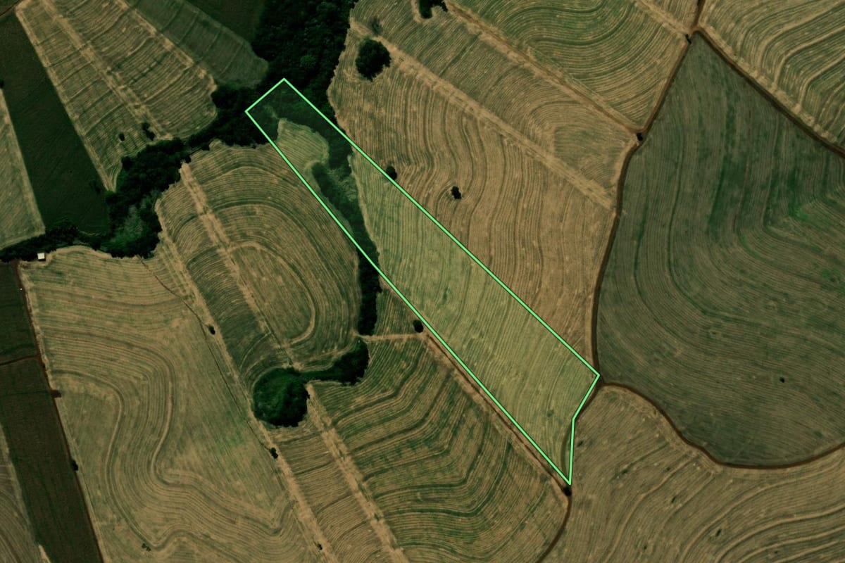 Imagem de satélite do imóvel rural em São João do Ivaí (PR), com o contorno declarado no CAR desenhado por cima.