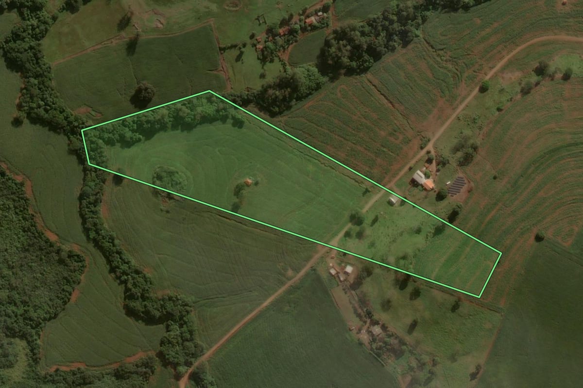 Imagem de satélite do imóvel rural em São João do Ivaí (PR), com o contorno declarado no CAR desenhado por cima.