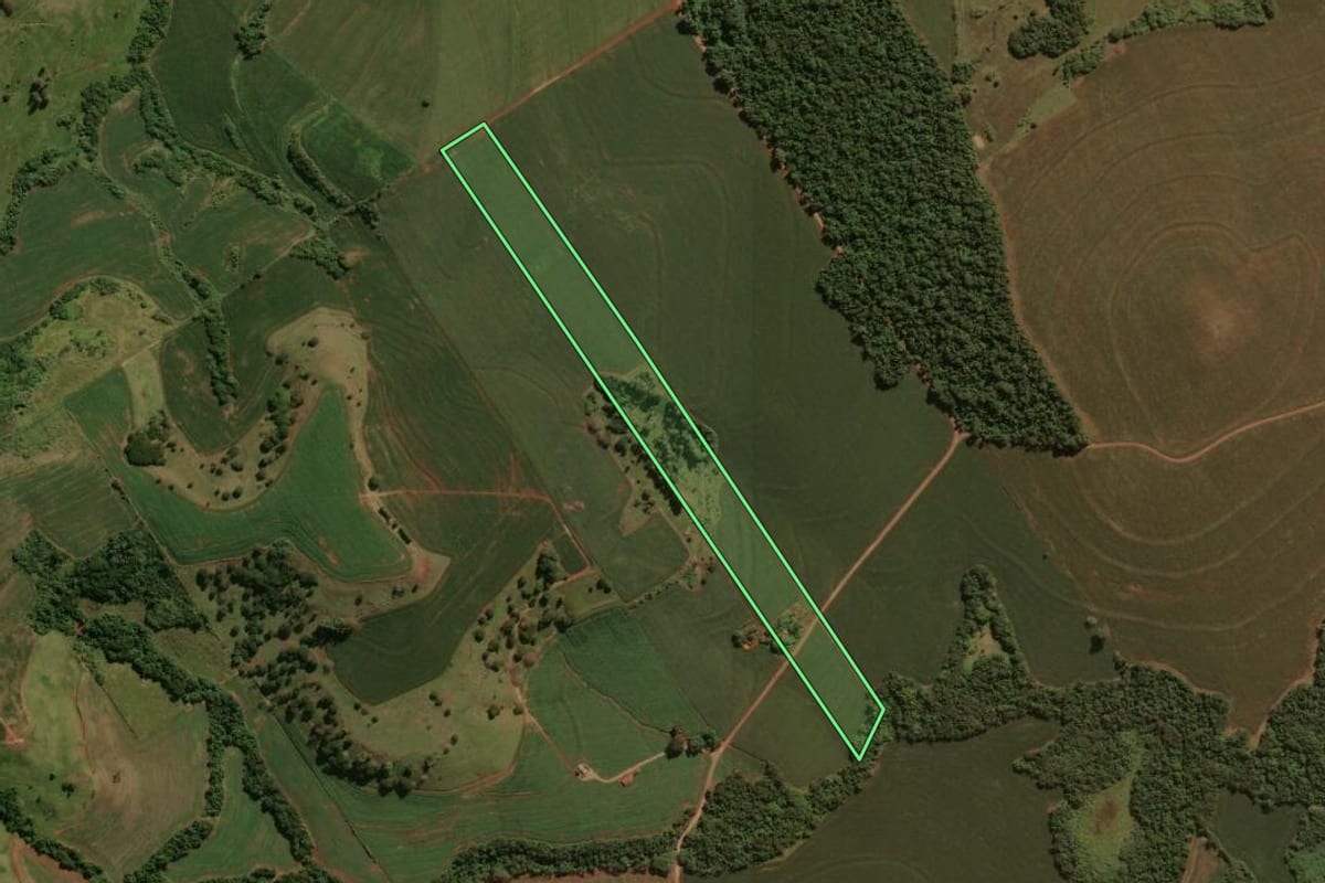 Imagem de satélite do imóvel rural em São João do Ivaí (PR), com o contorno declarado no CAR desenhado por cima.