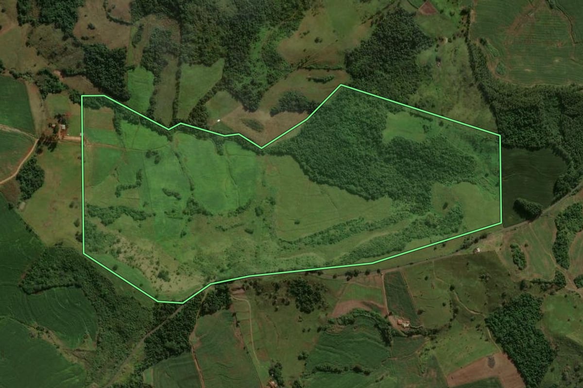 Imagem de satélite do imóvel rural em São João do Ivaí (PR), com o contorno declarado no CAR desenhado por cima.