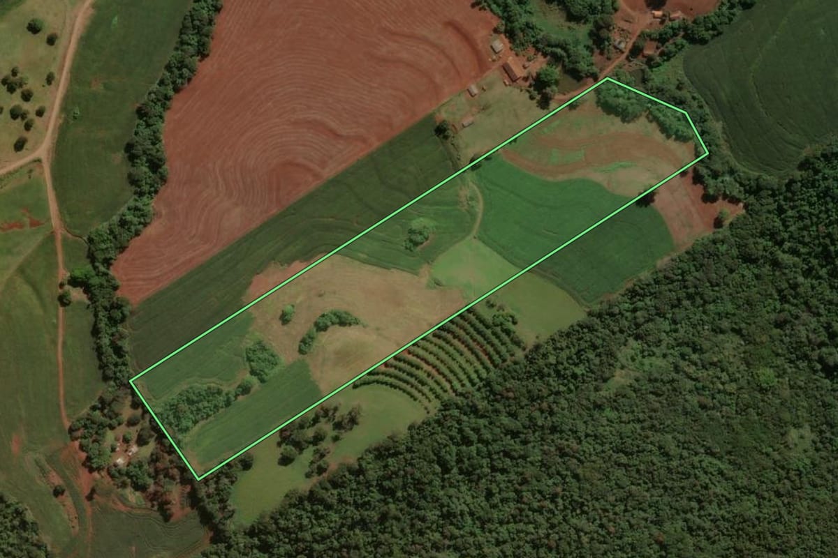 Imagem de satélite do imóvel rural em São João do Ivaí (PR), com o contorno declarado no CAR desenhado por cima.