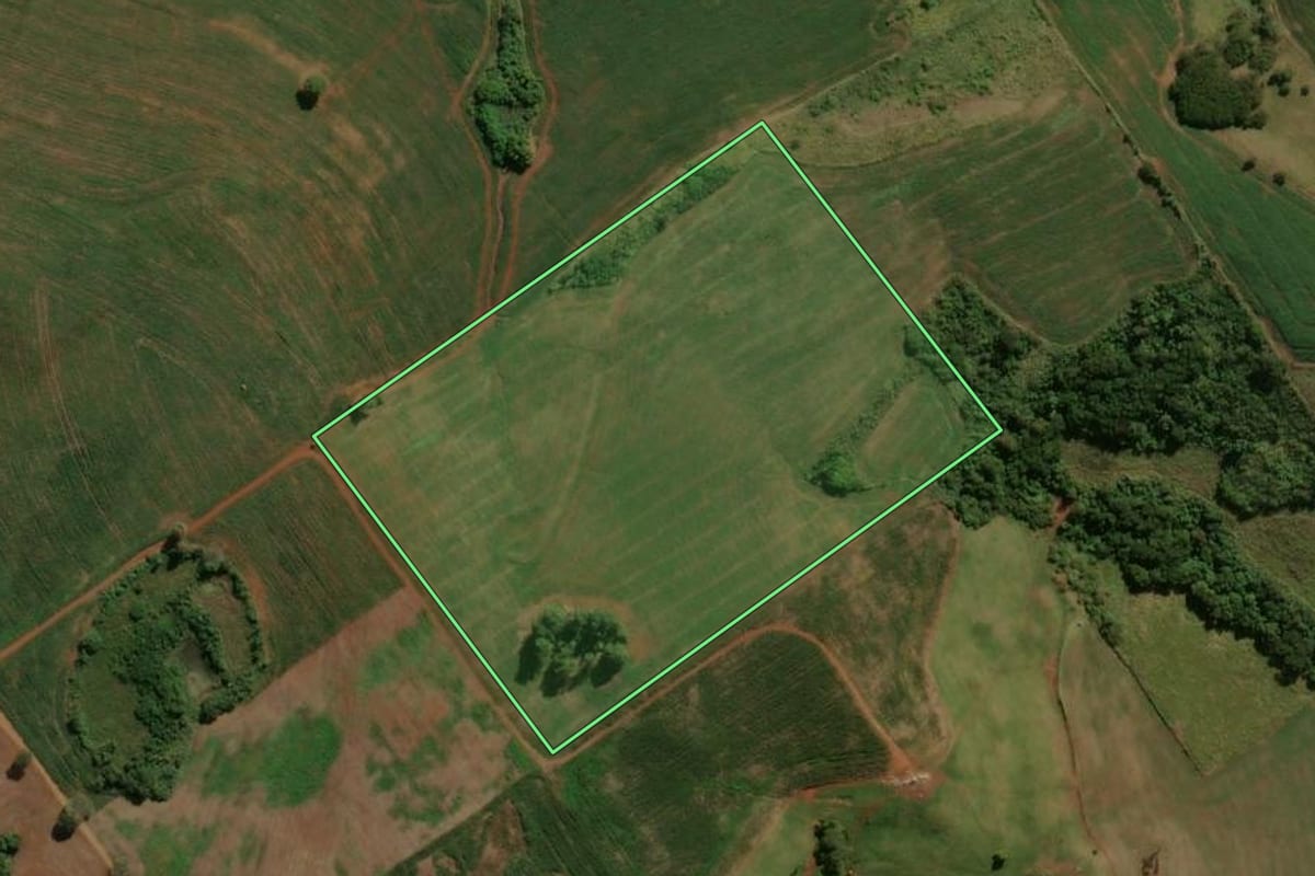 Imagem de satélite do imóvel rural em São João do Ivaí (PR), com o contorno declarado no CAR desenhado por cima.