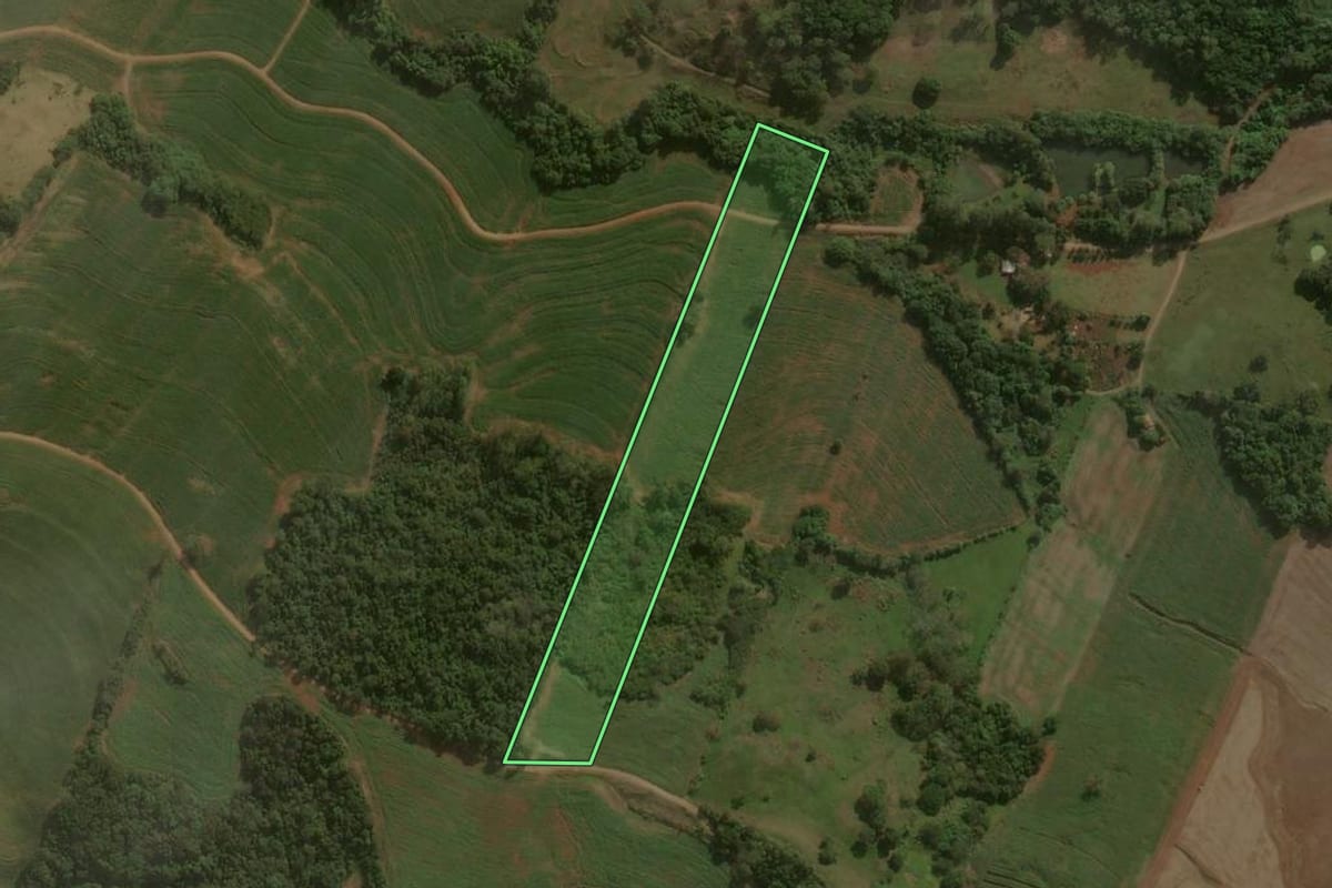 Imagem de satélite do imóvel rural em São João do Ivaí (PR), com o contorno declarado no CAR desenhado por cima.