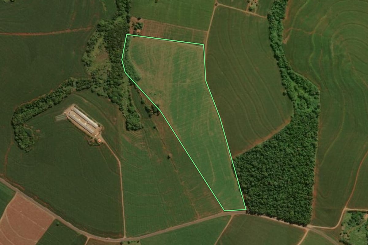 Imagem de satélite do imóvel rural em São João do Ivaí (PR), com o contorno declarado no CAR desenhado por cima.