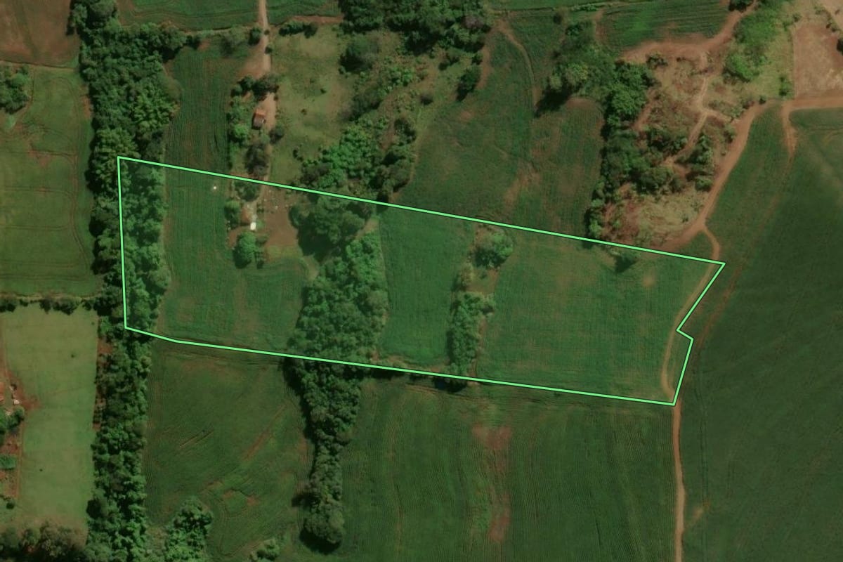 Imagem de satélite do imóvel rural em São João do Ivaí (PR), com o contorno declarado no CAR desenhado por cima.