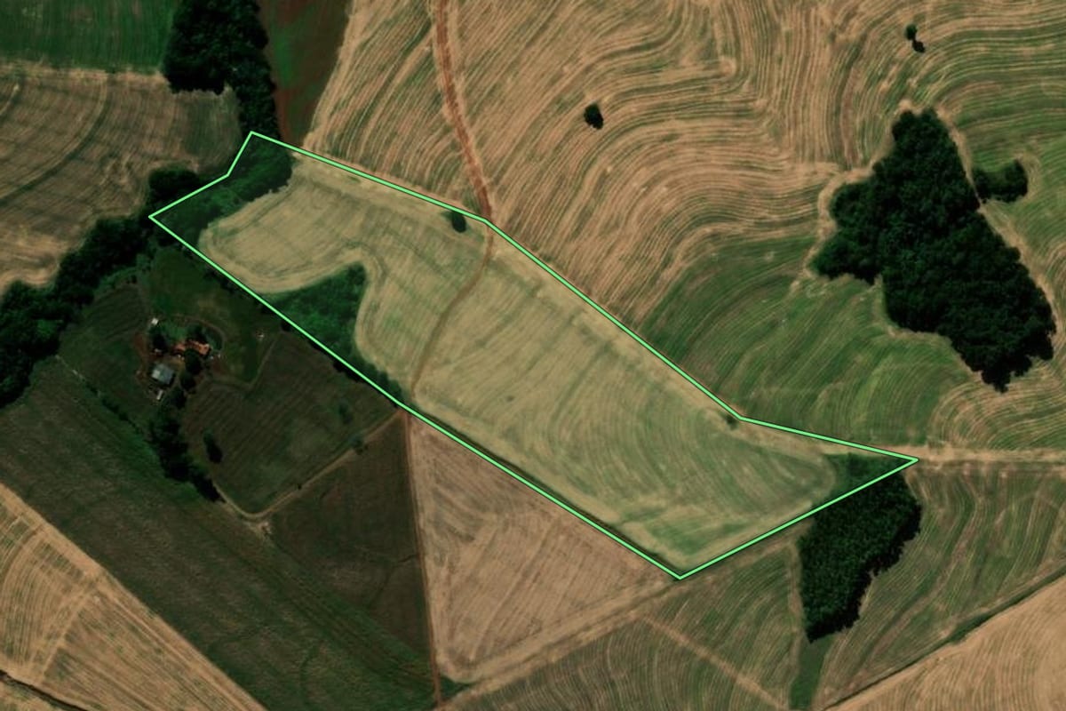 Imagem de satélite do imóvel rural em São João do Ivaí (PR), com o contorno declarado no CAR desenhado por cima.