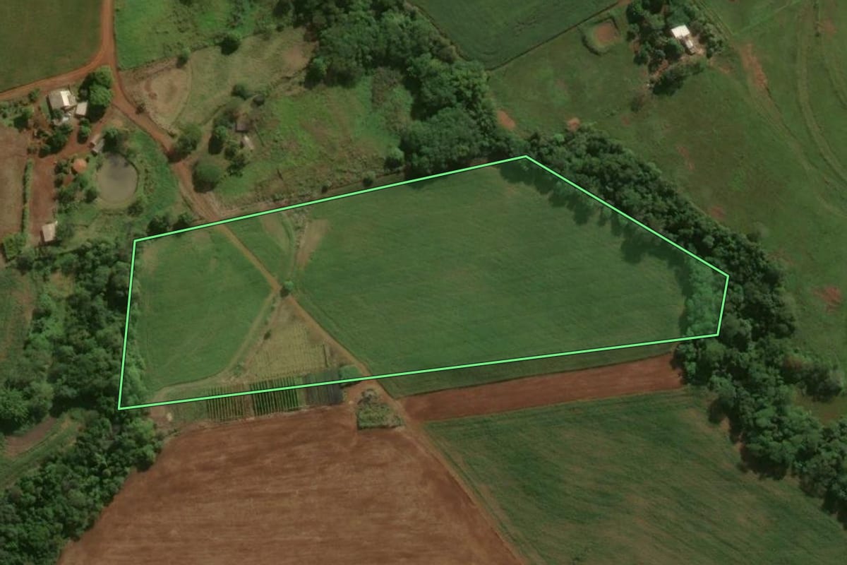Imagem de satélite do imóvel rural em São João do Ivaí (PR), com o contorno declarado no CAR desenhado por cima.