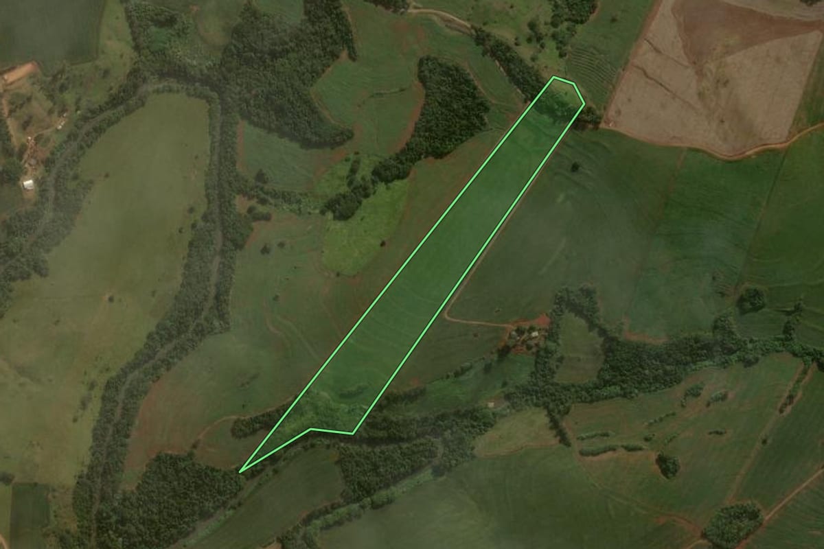 Imagem de satélite do imóvel rural em São João do Ivaí (PR), com o contorno declarado no CAR desenhado por cima.