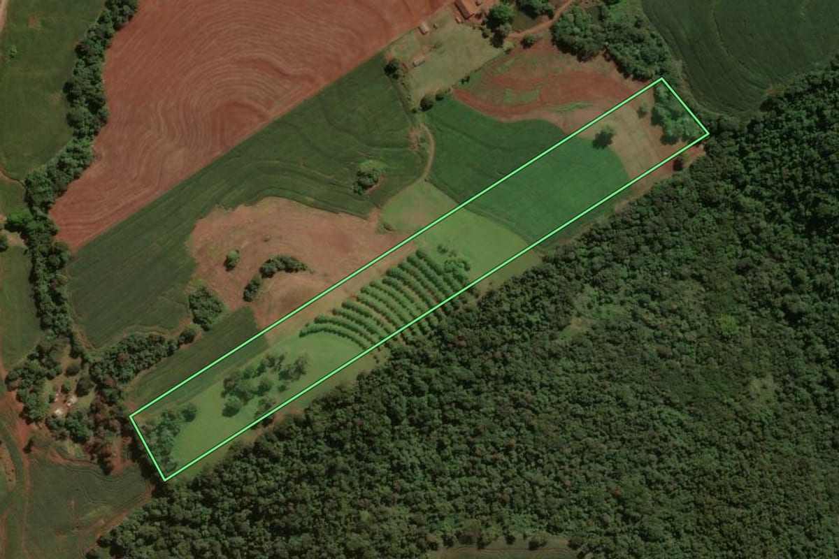 Imagem de satélite do imóvel rural em São João do Ivaí (PR), com o contorno declarado no CAR desenhado por cima.