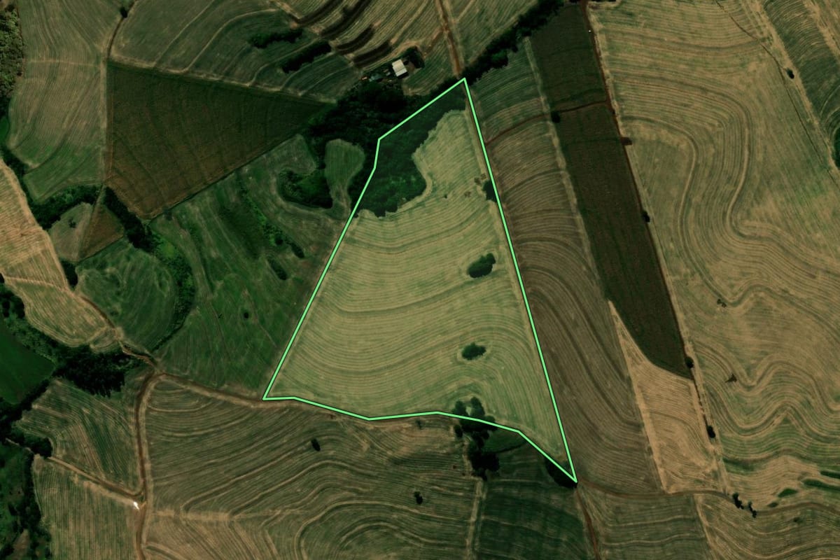 Imagem de satélite do imóvel rural em São João do Ivaí (PR), com o contorno declarado no CAR desenhado por cima.