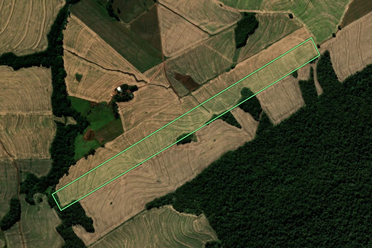 Imagem de satélite do imóvel rural em São João do Ivaí (PR), com o contorno declarado no CAR desenhado por cima.