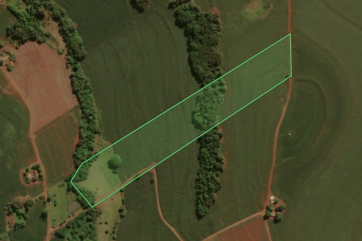 Imagem de satélite do imóvel rural em São João do Ivaí (PR), com o contorno declarado no CAR desenhado por cima.