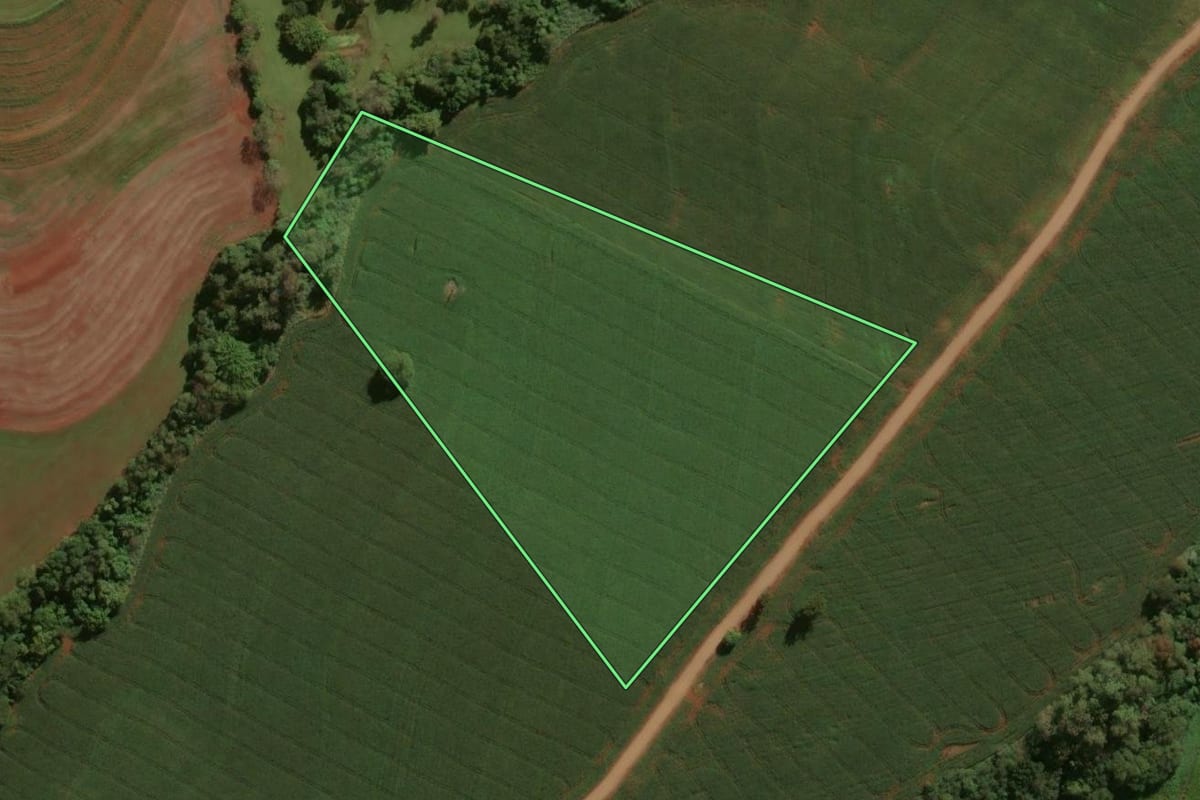 Imagem de satélite do imóvel rural em São João do Ivaí (PR), com o contorno declarado no CAR desenhado por cima.