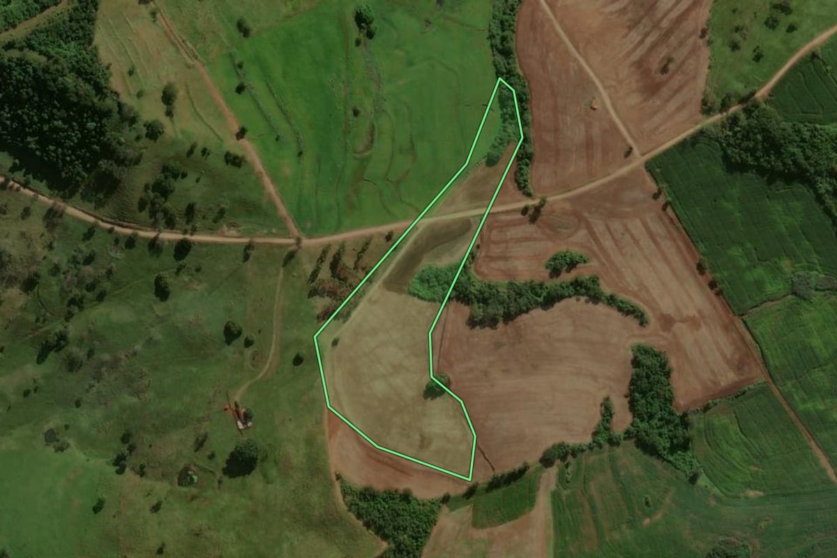 Imagem de satélite do imóvel rural em São João do Ivaí (PR), com o contorno declarado no CAR desenhado por cima.