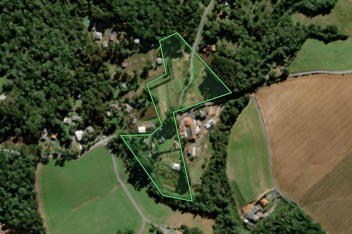 Imagem de satélite do imóvel rural em São João do Triunfo (PR), com o contorno declarado no CAR desenhado por cima.