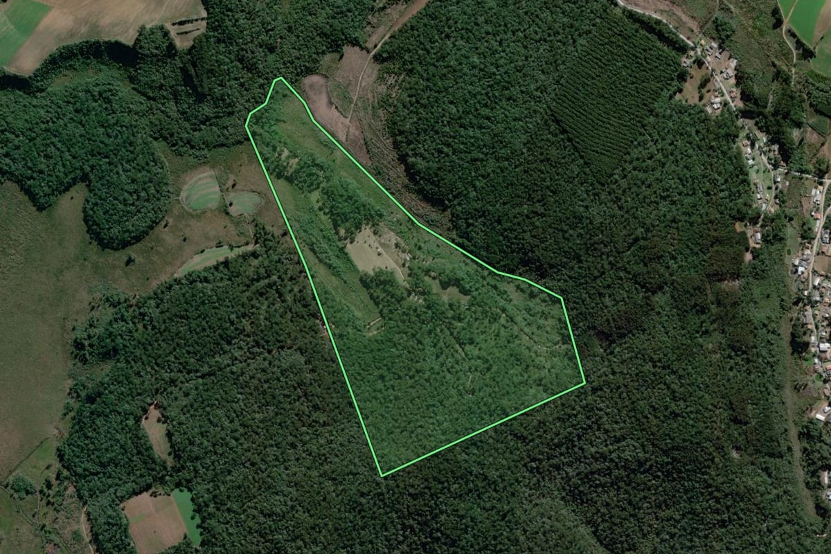 Imagem de satélite do imóvel rural em São João do Triunfo (PR), com o contorno declarado no CAR desenhado por cima.