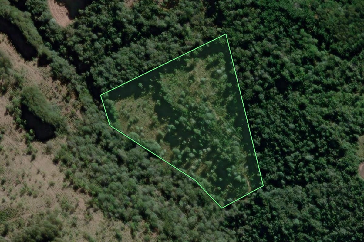 Imagem de satélite do imóvel rural em São João do Triunfo (PR), com o contorno declarado no CAR desenhado por cima.