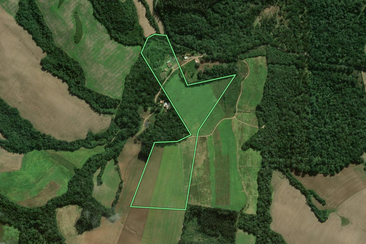 Imagem de satélite do imóvel rural em São João do Triunfo (PR), com o contorno declarado no CAR desenhado por cima.