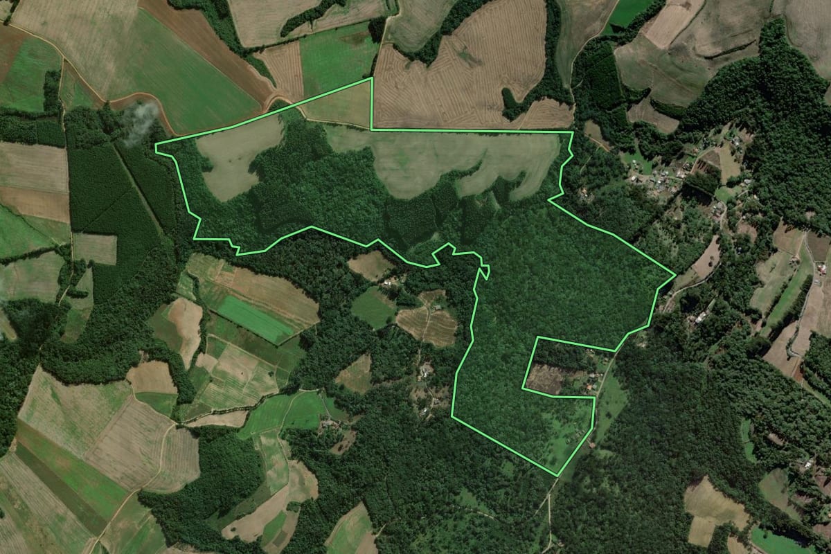 Imagem de satélite do imóvel rural em São João do Triunfo (PR), com o contorno declarado no CAR desenhado por cima.