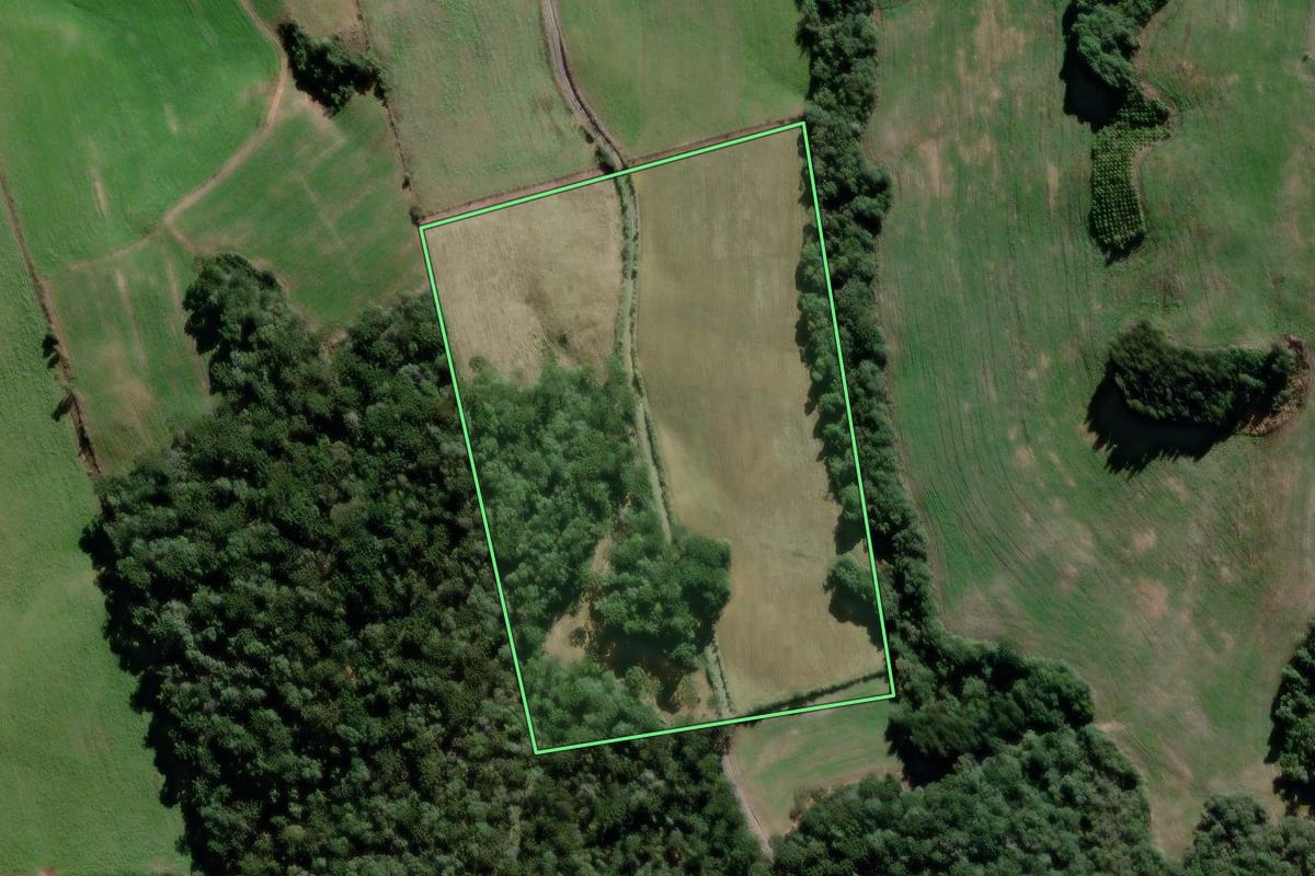 Imagem de satélite do imóvel rural em São João do Triunfo (PR), com o contorno declarado no CAR desenhado por cima.