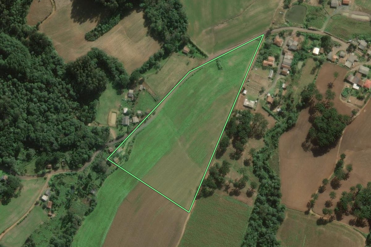Imagem de satélite do imóvel rural em São João do Triunfo (PR), com o contorno declarado no CAR desenhado por cima.
