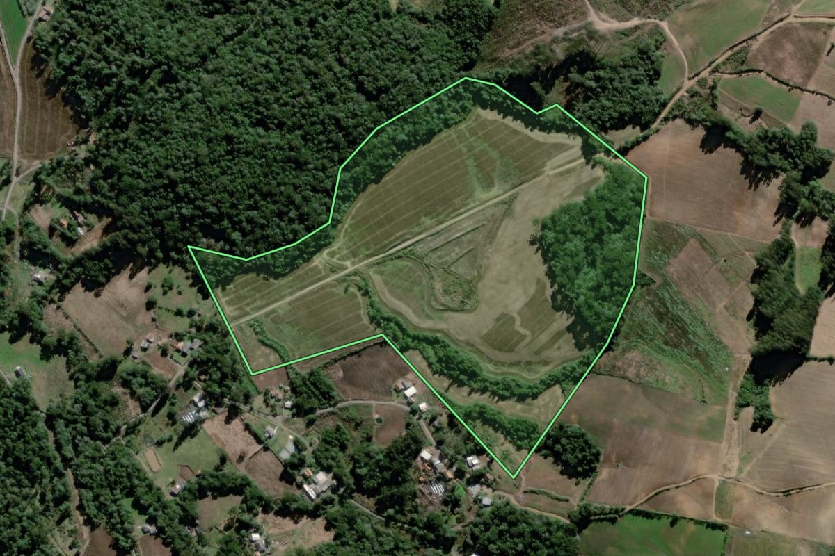 Imagem de satélite do imóvel rural em São João do Triunfo (PR), com o contorno declarado no CAR desenhado por cima.