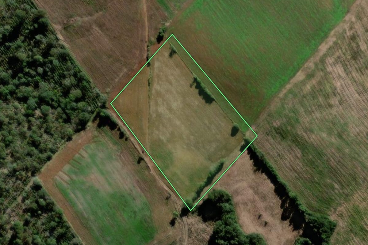 Imagem de satélite do imóvel rural em São João do Triunfo (PR), com o contorno declarado no CAR desenhado por cima.
