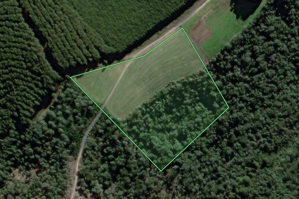 Imagem de satélite do imóvel rural em São João do Triunfo (PR), com o contorno declarado no CAR desenhado por cima.
