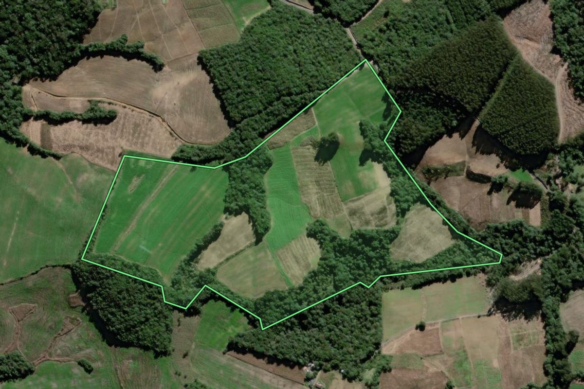 Imagem de satélite do imóvel rural em São João do Triunfo (PR), com o contorno declarado no CAR desenhado por cima.