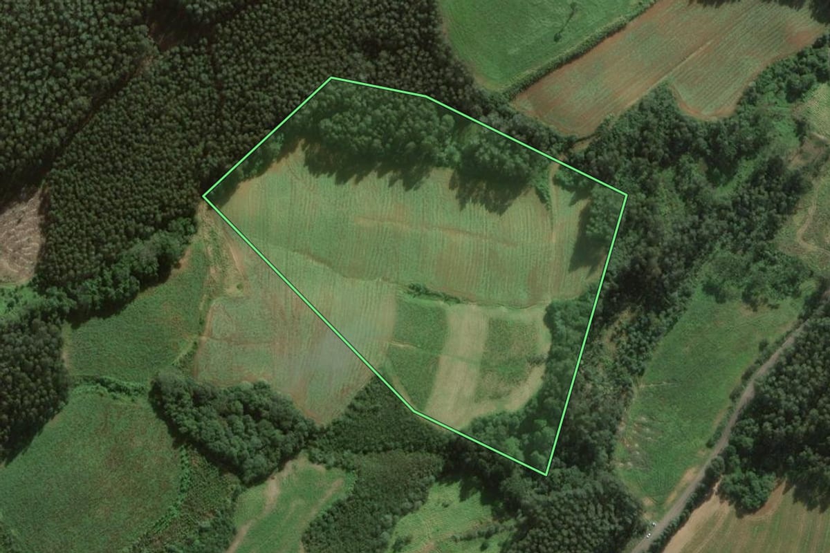Imagem de satélite do imóvel rural em São João do Triunfo (PR), com o contorno declarado no CAR desenhado por cima.