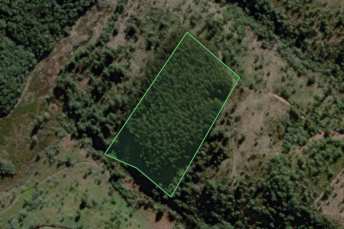 Imagem de satélite do imóvel rural em São João do Triunfo (PR), com o contorno declarado no CAR desenhado por cima.