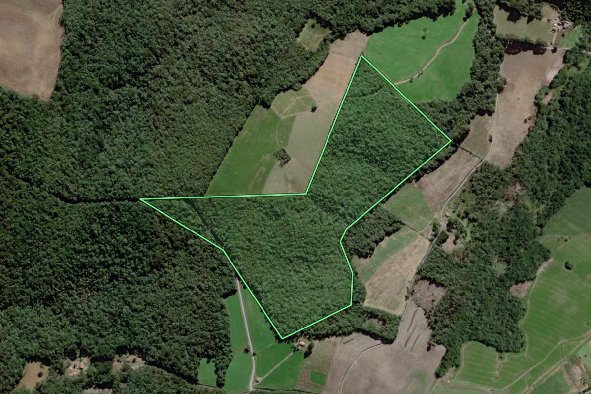 Imagem de satélite do imóvel rural em São João do Triunfo (PR), com o contorno declarado no CAR desenhado por cima.