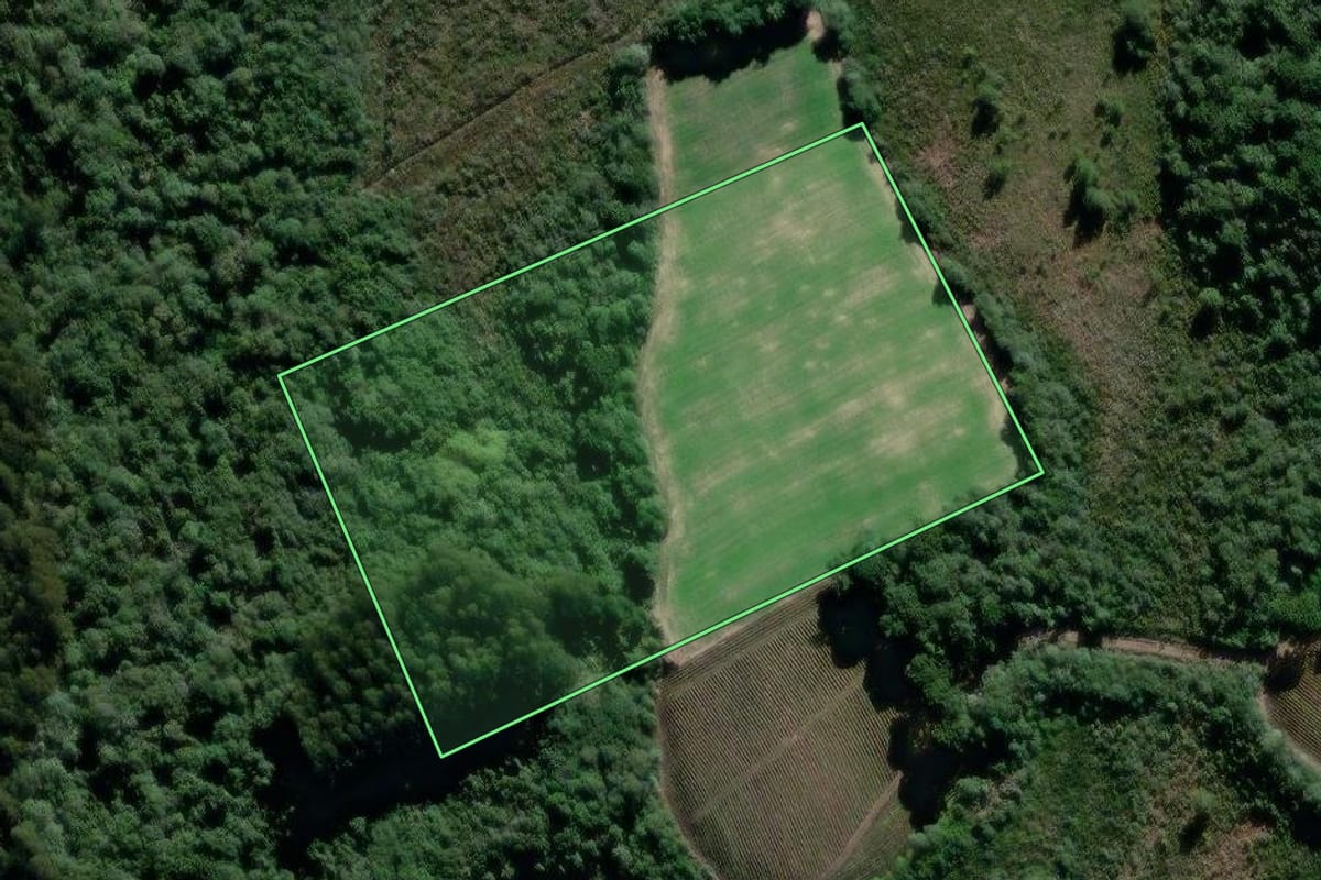 Imagem de satélite do imóvel rural em São João do Triunfo (PR), com o contorno declarado no CAR desenhado por cima.