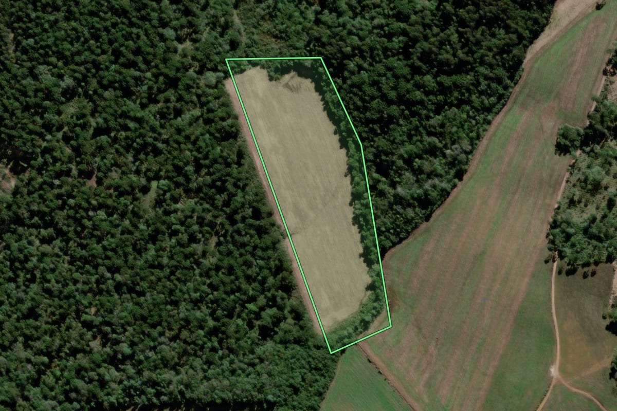 Imagem de satélite do imóvel rural em São João do Triunfo (PR), com o contorno declarado no CAR desenhado por cima.