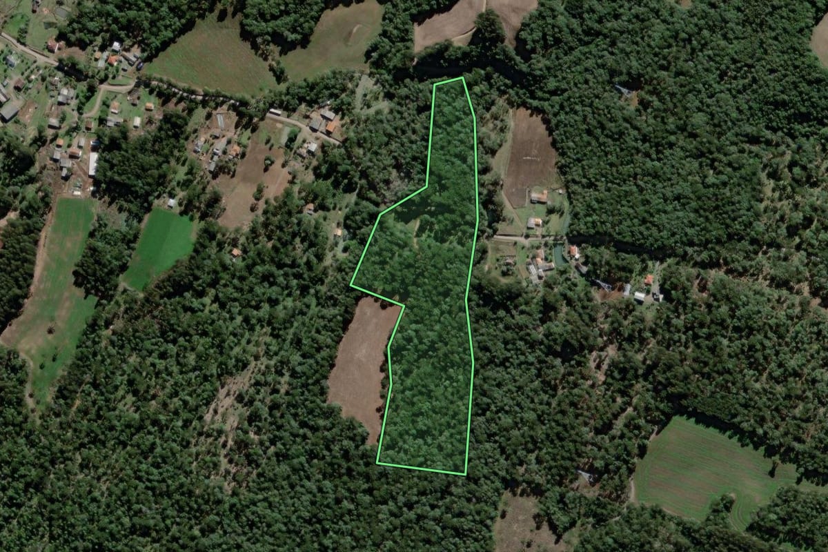 Imagem de satélite do imóvel rural em São João do Triunfo (PR), com o contorno declarado no CAR desenhado por cima.