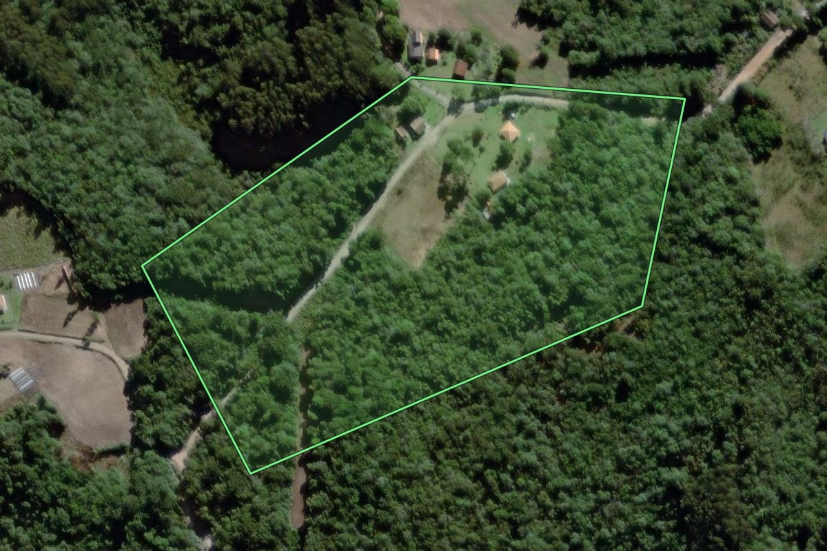 Imagem de satélite do imóvel rural em São João do Triunfo (PR), com o contorno declarado no CAR desenhado por cima.