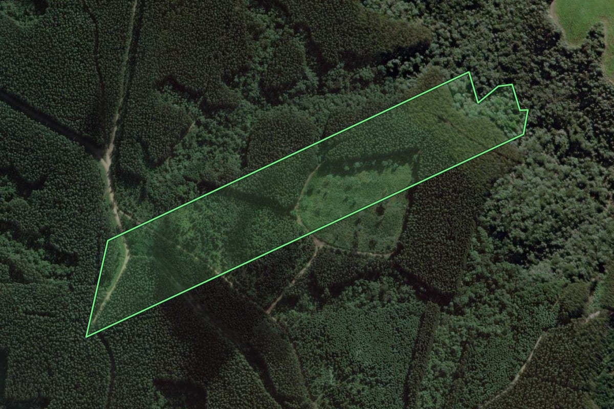 Imagem de satélite do imóvel rural em São João do Triunfo (PR), com o contorno declarado no CAR desenhado por cima.