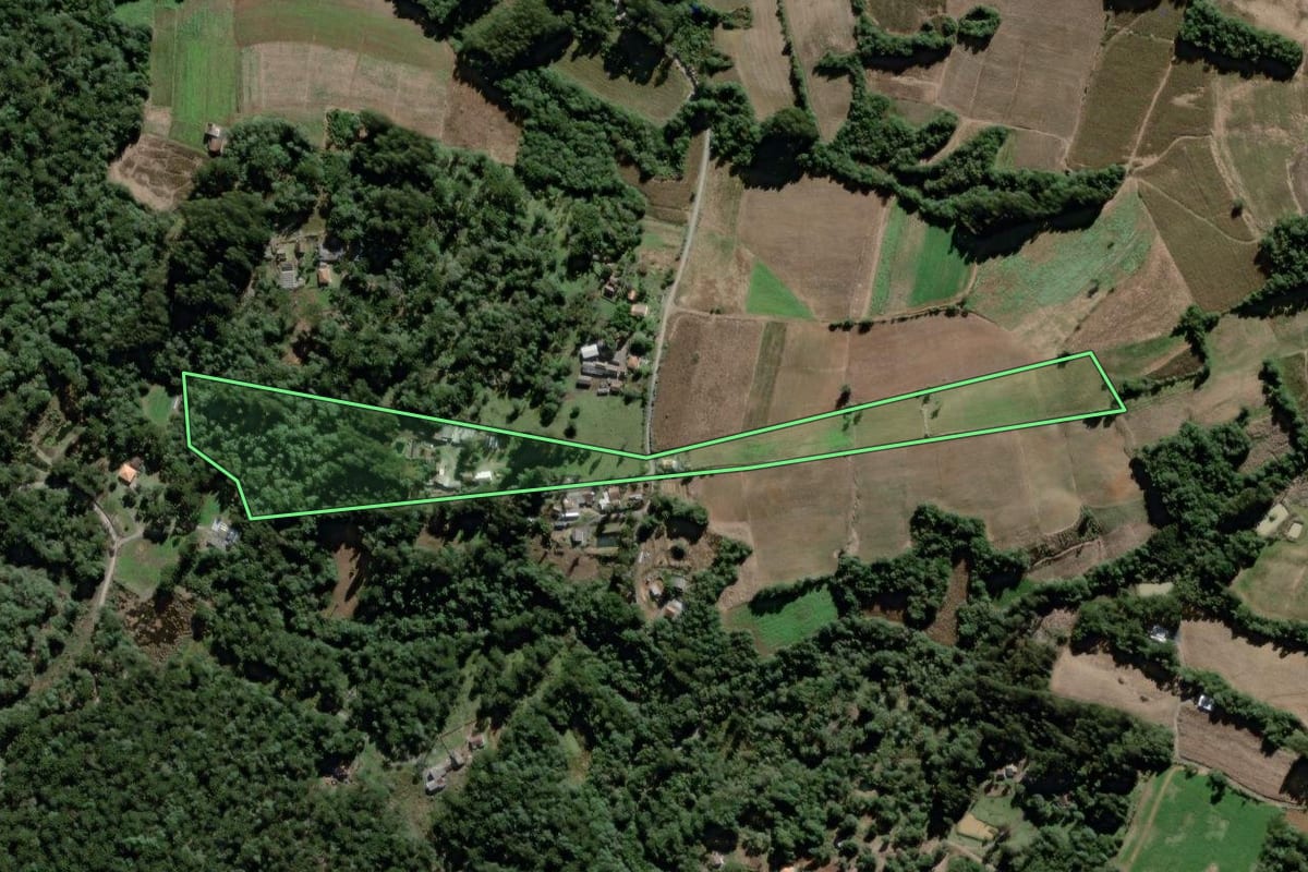 Imagem de satélite do imóvel rural em São João do Triunfo (PR), com o contorno declarado no CAR desenhado por cima.