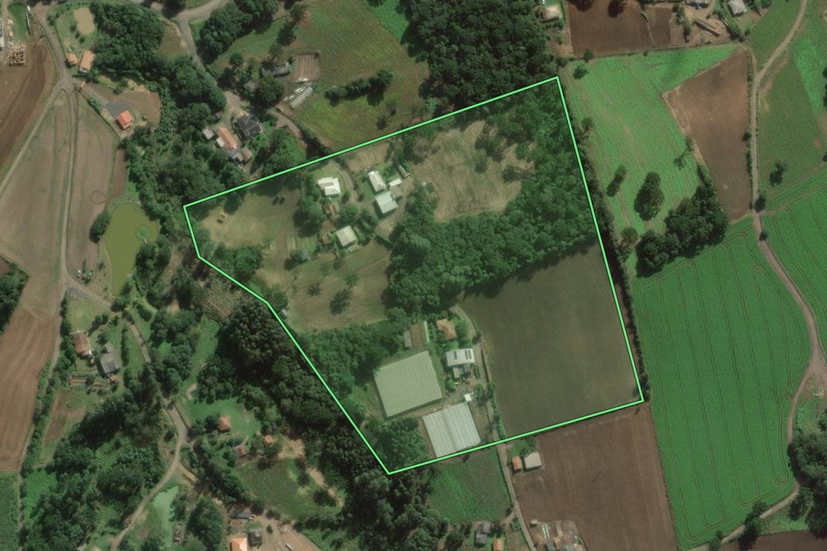 Imagem de satélite do imóvel rural em São João do Triunfo (PR), com o contorno declarado no CAR desenhado por cima.