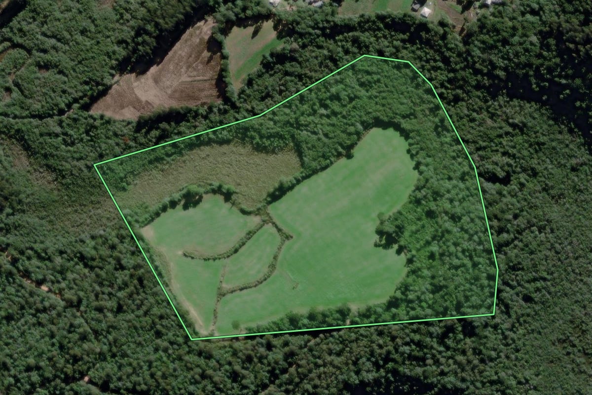 Imagem de satélite do imóvel rural em São João do Triunfo (PR), com o contorno declarado no CAR desenhado por cima.