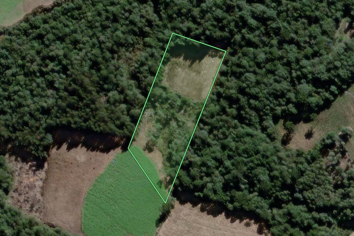 Imagem de satélite do imóvel rural em São João do Triunfo (PR), com o contorno declarado no CAR desenhado por cima.