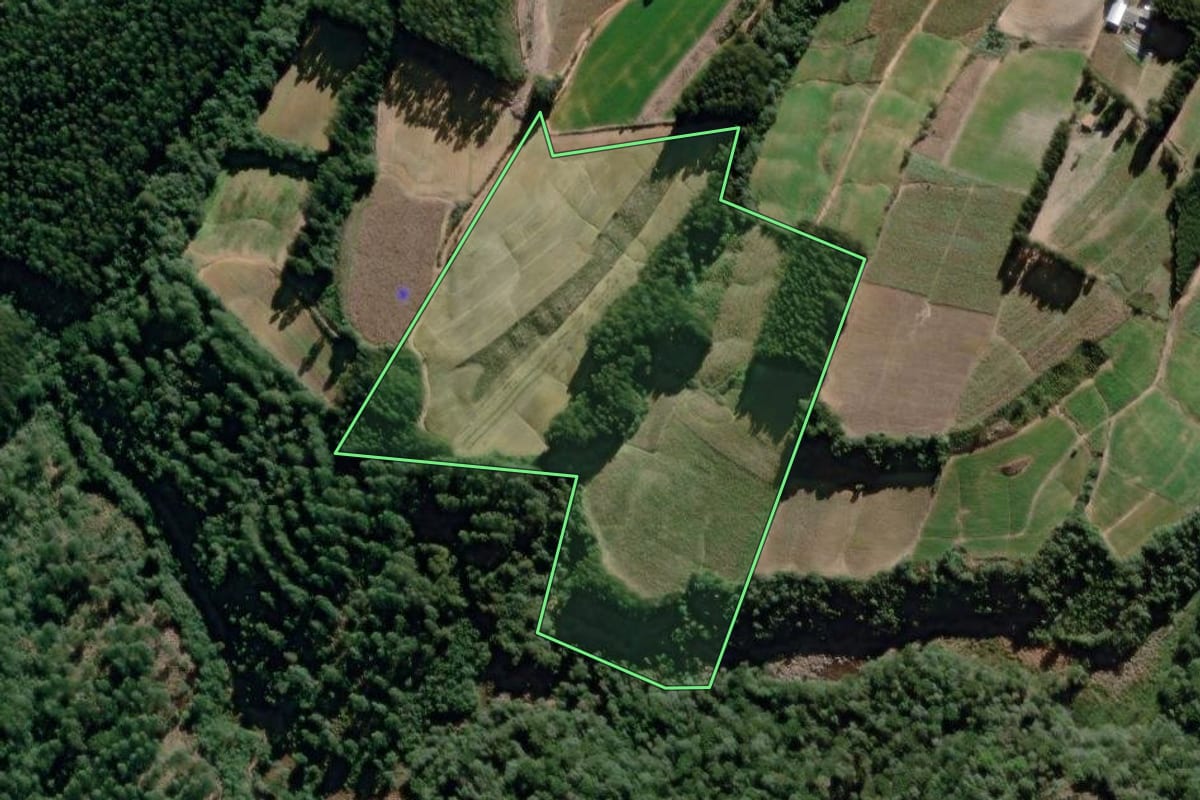 Imagem de satélite do imóvel rural em São João do Triunfo (PR), com o contorno declarado no CAR desenhado por cima.