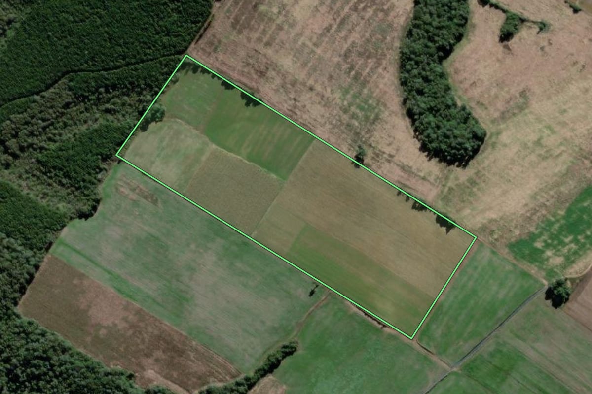 Imagem de satélite do imóvel rural em São João do Triunfo (PR), com o contorno declarado no CAR desenhado por cima.