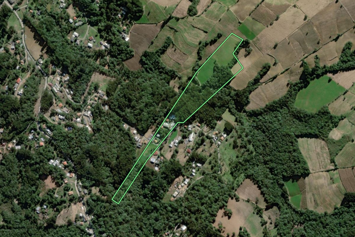 Imagem de satélite do imóvel rural em São João do Triunfo (PR), com o contorno declarado no CAR desenhado por cima.