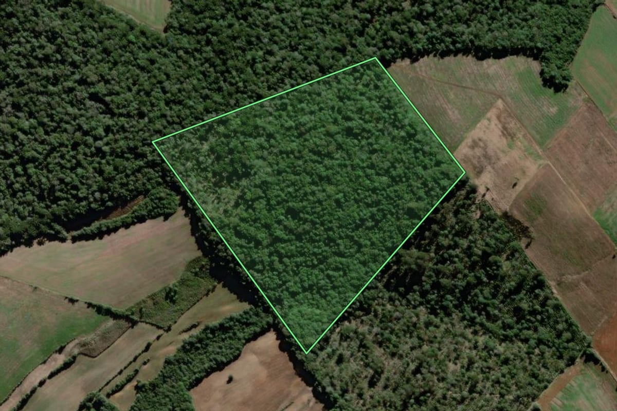 Imagem de satélite do imóvel rural em São João do Triunfo (PR), com o contorno declarado no CAR desenhado por cima.