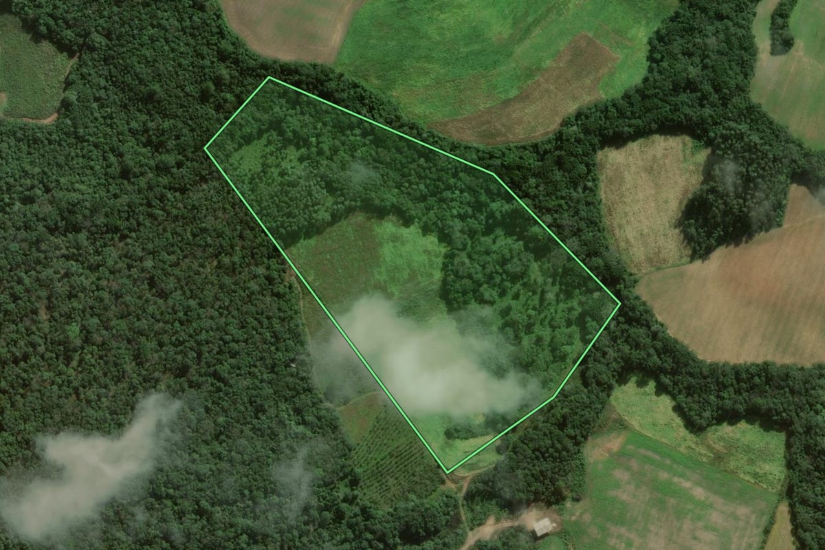 Imagem de satélite do imóvel rural em São João do Triunfo (PR), com o contorno declarado no CAR desenhado por cima.