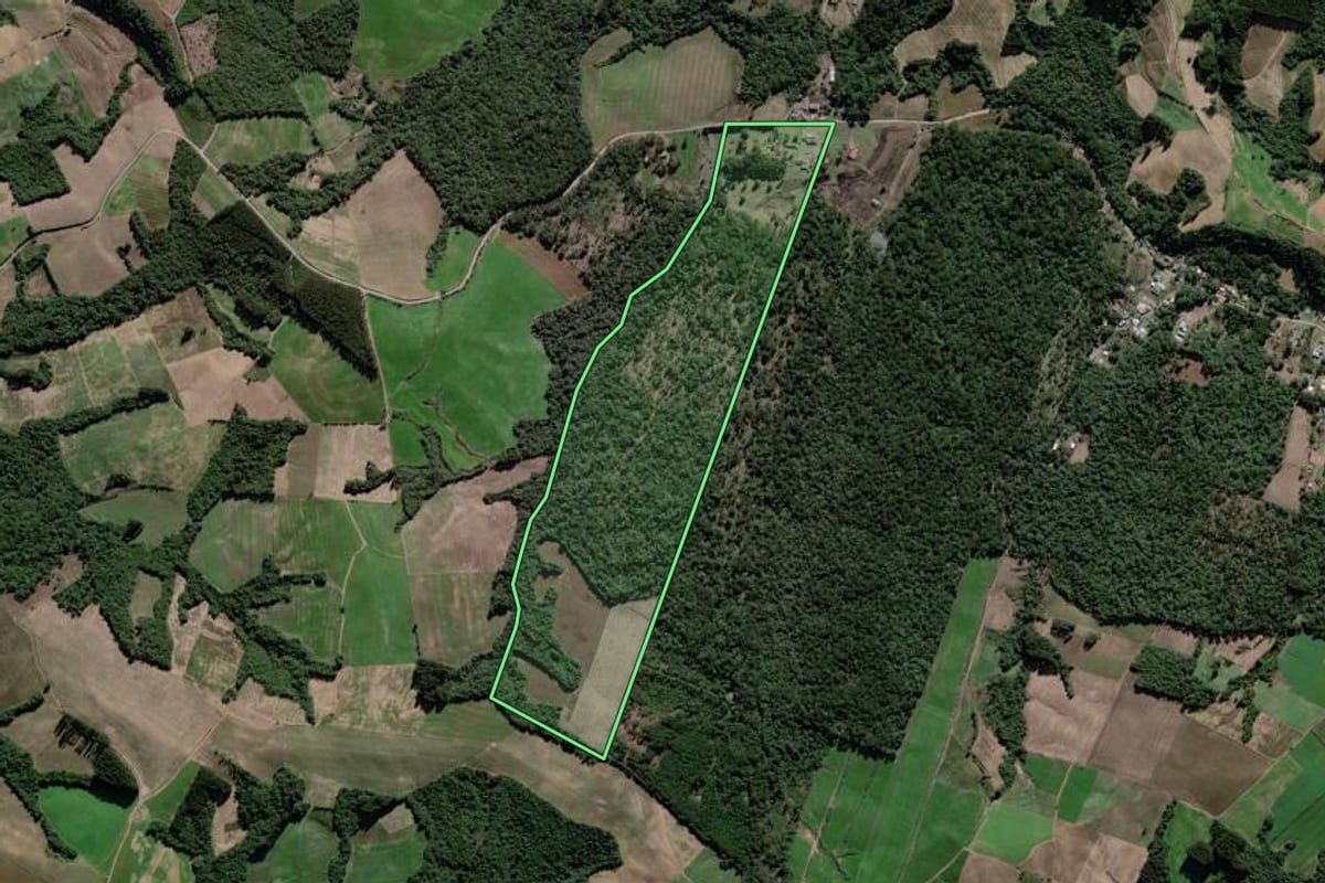 Imagem de satélite do imóvel rural em São João do Triunfo (PR), com o contorno declarado no CAR desenhado por cima.