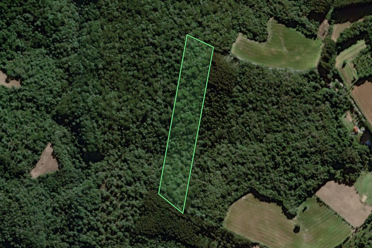 Imagem de satélite do imóvel rural em São João do Triunfo (PR), com o contorno declarado no CAR desenhado por cima.